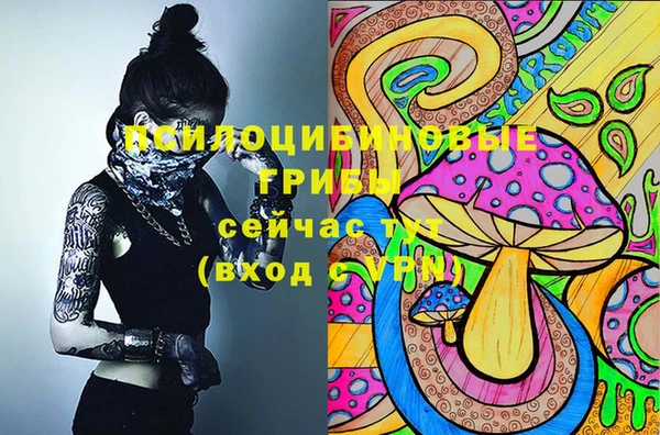 скорость Богданович
