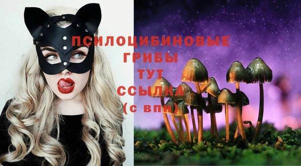 стафф Беломорск