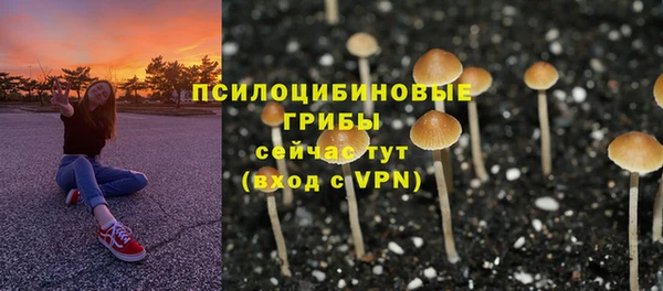 MDMA Premium VHQ Богородицк