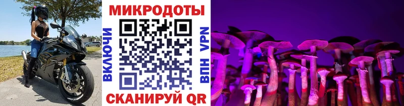 Галлюциногенные грибы MAGIC MUSHROOMS купить наркотики сайты Боготол